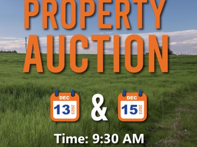 BRA Set to Auction 27 Properties
