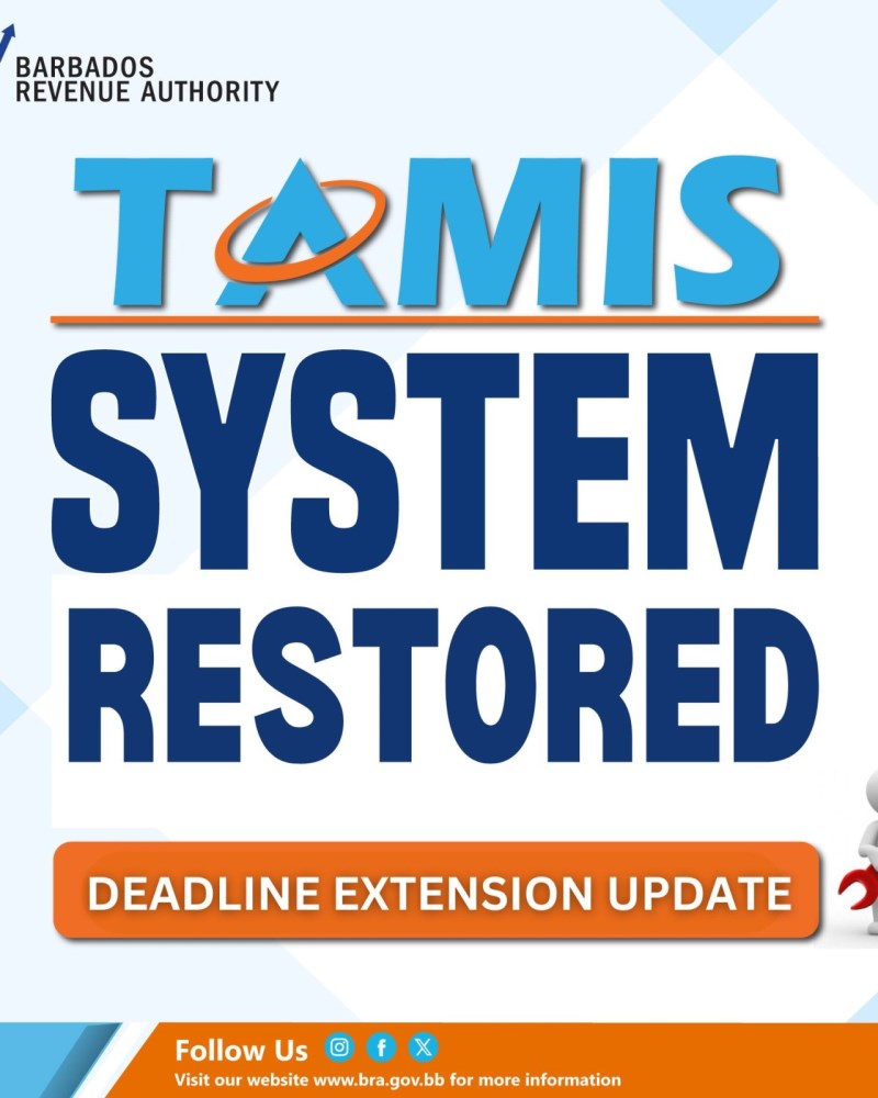 Update: TAMIS Filing and Payments Resume & Deadline Extended