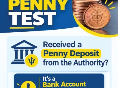 BRA Conducts Bank Account ‘Penny Test’ Verification Ahead of Refund Payments